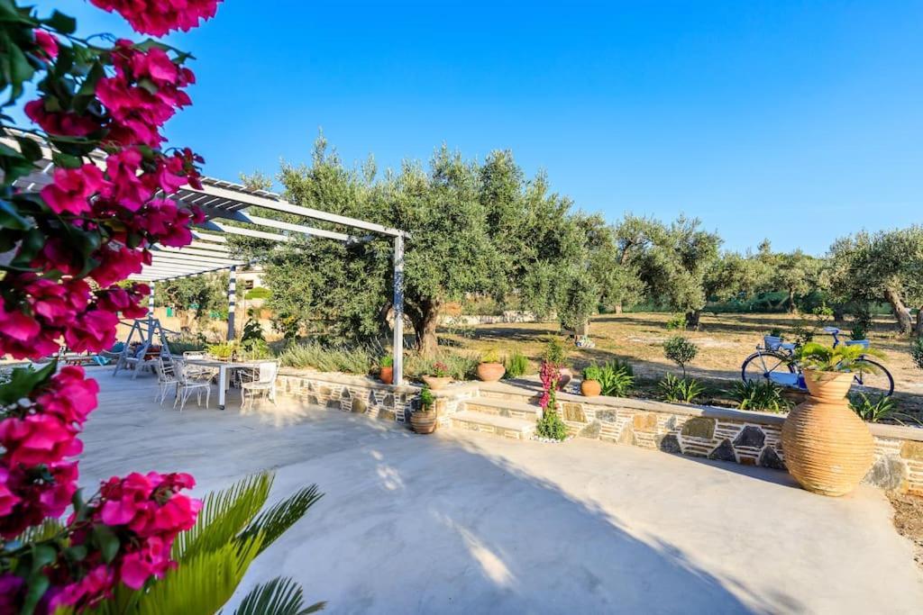 Skopelos Blue Heaven Pool Villa In Olive Grove Exteriér fotografie