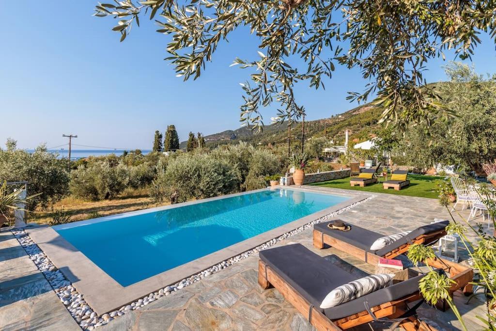 Skopelos Blue Heaven Pool Villa In Olive Grove Exteriér fotografie